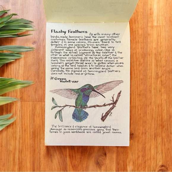 VINTAGE 1987 Hummers: Hummingbirds of North America - Pocket Nature Guide - Picture 5 of 8